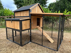 Cottage coop made with metal frame. New and predator proof