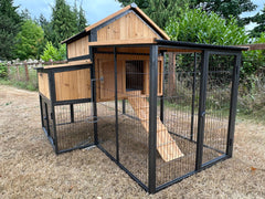 Cottage coop made with metal frame. New and predator proof