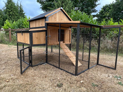 Cottage coop made with metal frame. New and predator proof