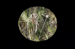 Dome Sauna Tent (8-person; tent only)