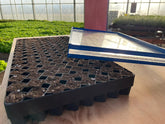 GreenEase Drop Seeder for Winstrip® Trays