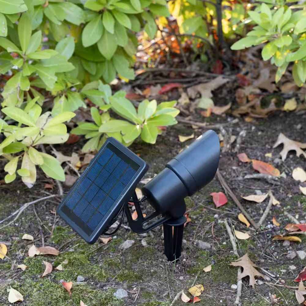 Progressive Black Solar Integrated LED Landscape Flood Light with Adjustable Color Temperature