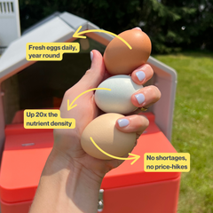 The Smart Coop Unlimited+ (+ Free Chicks! š£)