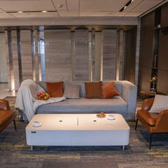 Elementi Sydney Indoor Fire Pit Table