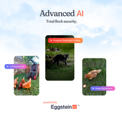The Smart Coop Unlimited+ (+ Free Chicks! š£)