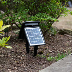 250 Lumens Black Solar Powered Dual Color Integrated LED Outdoor Landscape Flood Light (2-Pack)