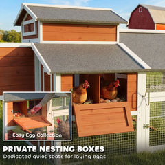 47.2 Inch Chicken coup US