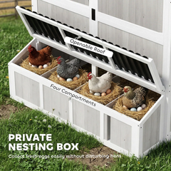 87.4 Inch Chicken Coup 10-15 Hens US