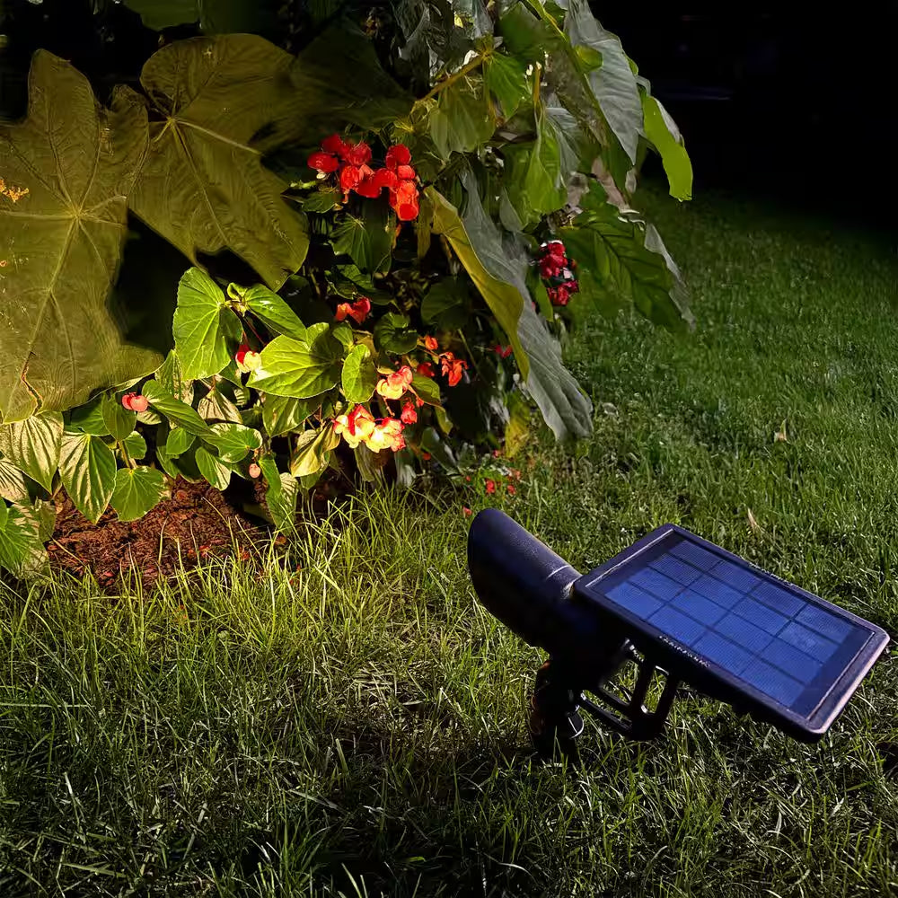Progressive Black Solar Integrated LED Landscape Flood Light with Adjustable Color Temperature