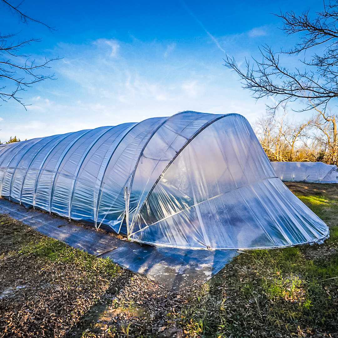 All-Metal Caterpillar Tunnel Kit with Butterfly Doors