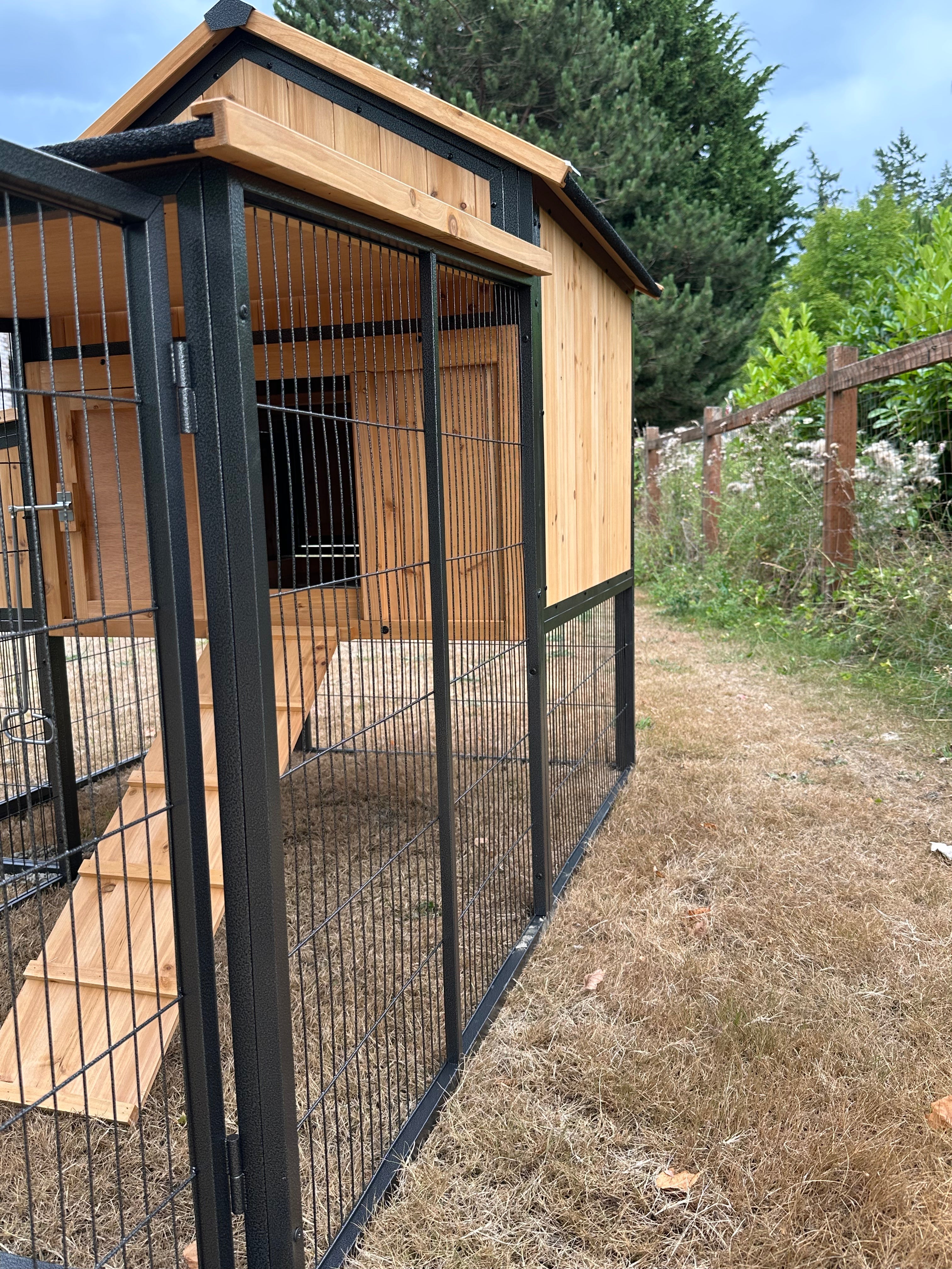 Cottage coop made with metal frame. New and predator proof