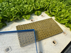 GreenEase Drop Seeder for Grodan