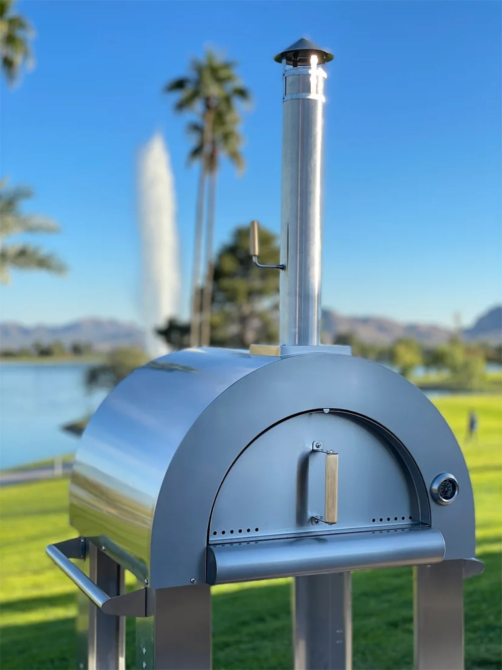 Wood Burning Pizza Oven & Stand