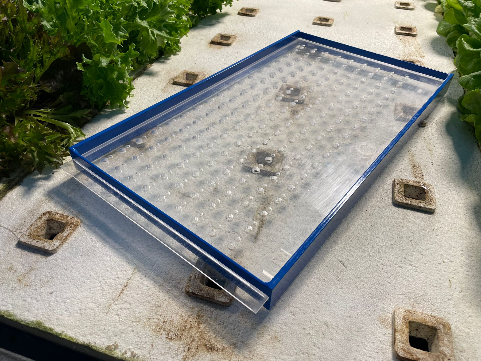 GreenEase Drop Seeder for Winstrip® Trays