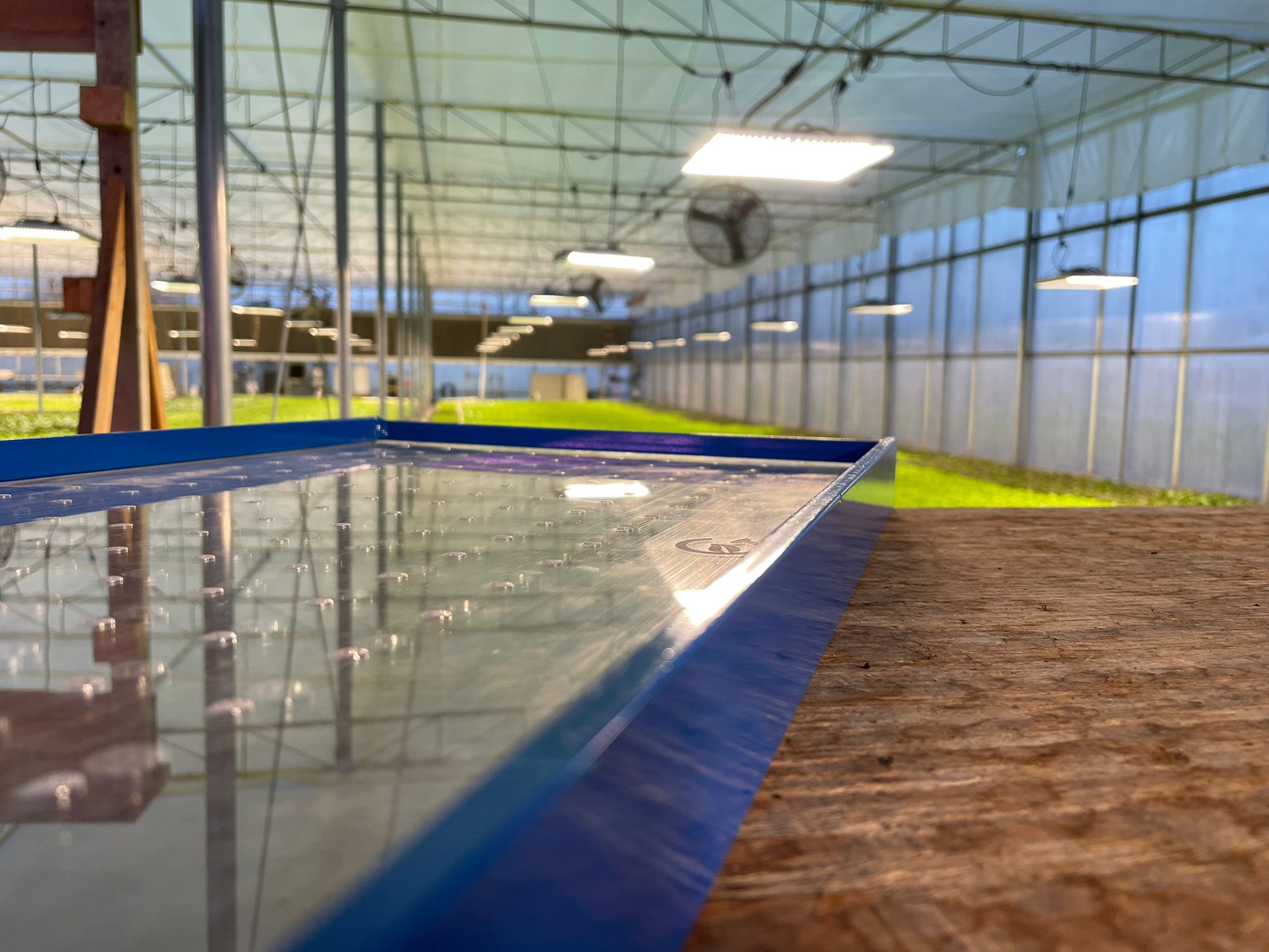 GreenEase Drop Seeder for Winstrip® Trays