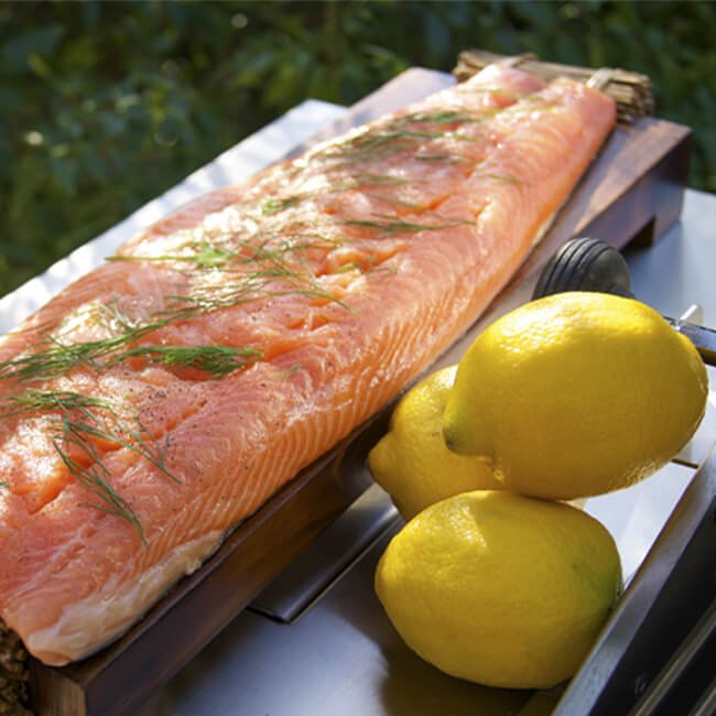 American Outdoor Grill 24NBL L-Series 2-Burner Built-In Natural Gas Grill W/ Rotisserie Kit, 24" [24NBL] (SAK81425)