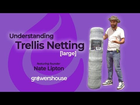 Common Culture Plastic Trellis Netting Bulk Roll 5 ft x 4,920 ft w/ 6 in Squares + Trojan 2 Inch Straight Scissors