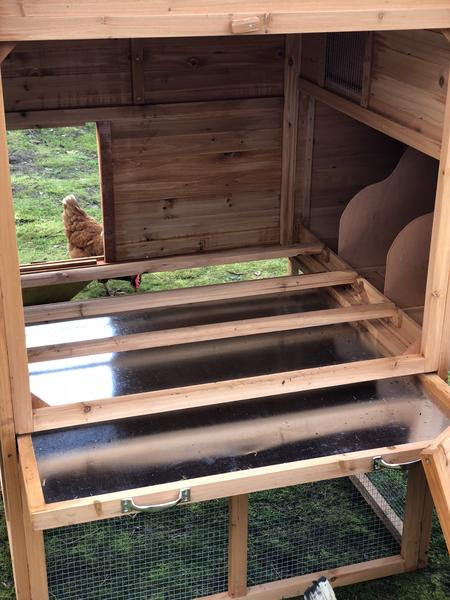 RESORT CHICKEN COOP AND RUN. IN-STOCK.